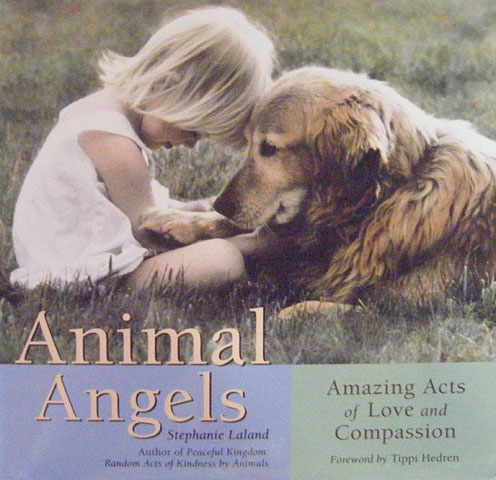 Animal Angels. Amazing acts of love and compassion