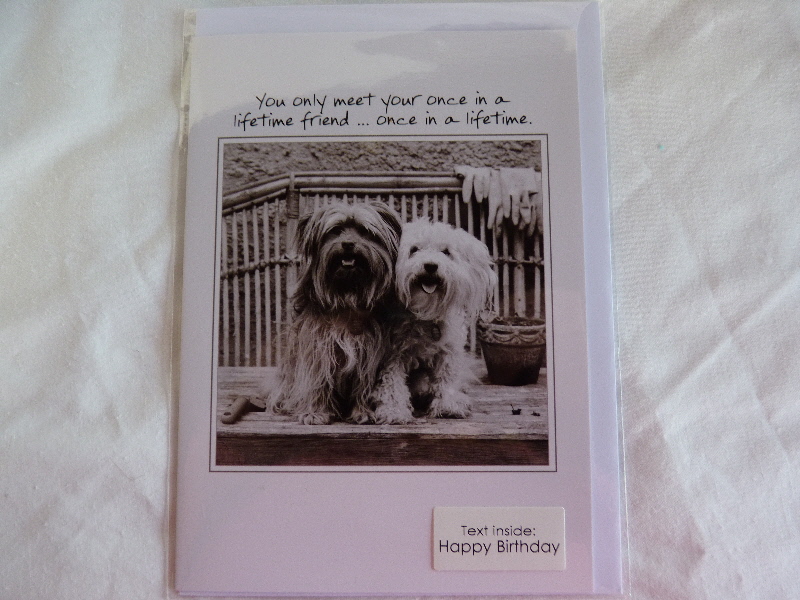 Card - KISMET & CASEY - Happy Birthday Text Inside