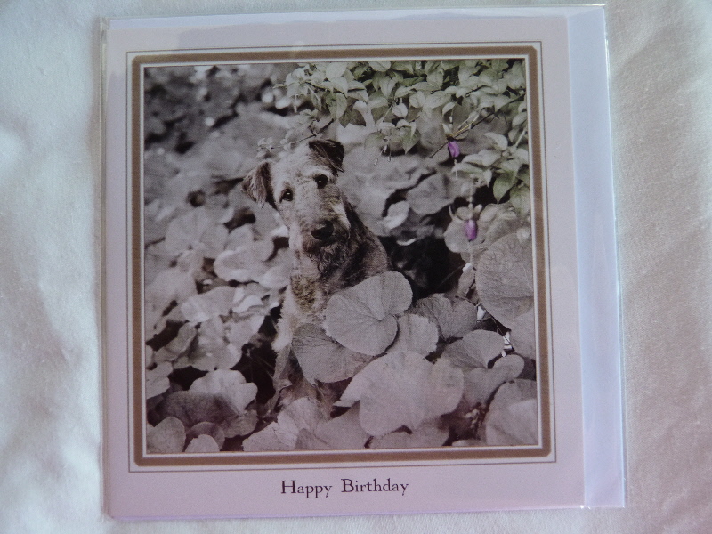 Card - Happy BIrthday Card - Dougal