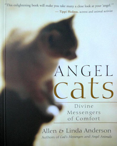 Angel Cats - Divine Messengers of Comfort